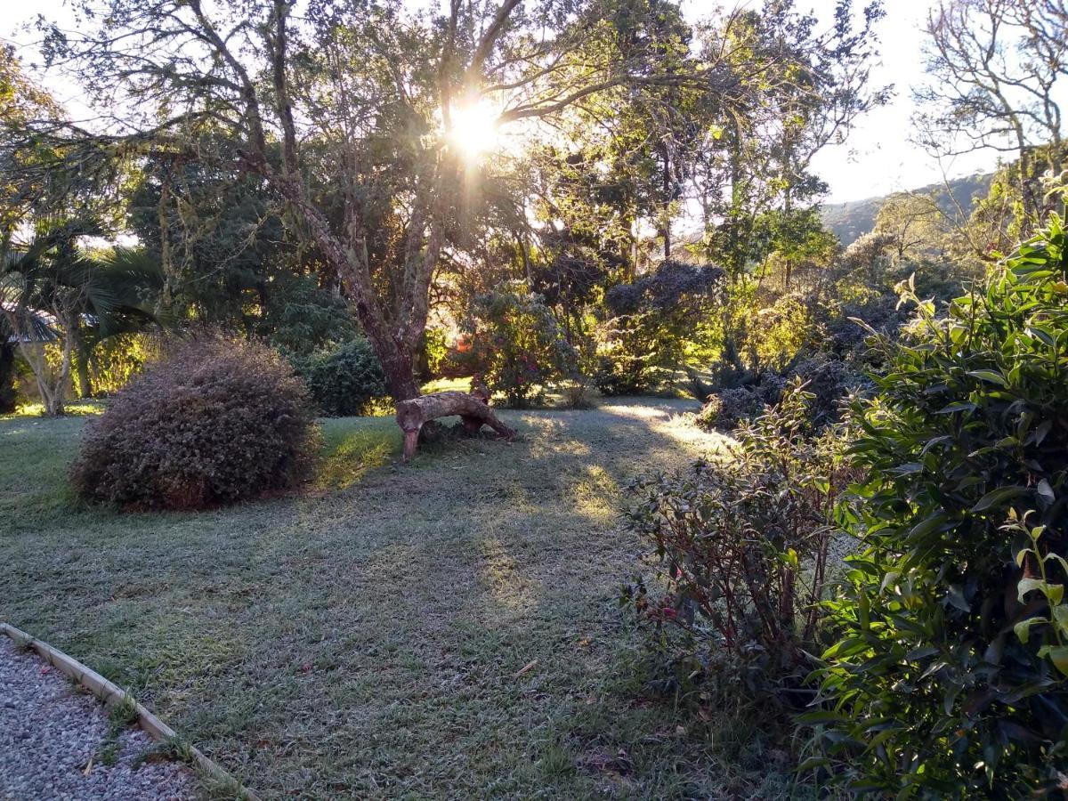 Bracatinga * Bom Retiro (Santa Catarina)