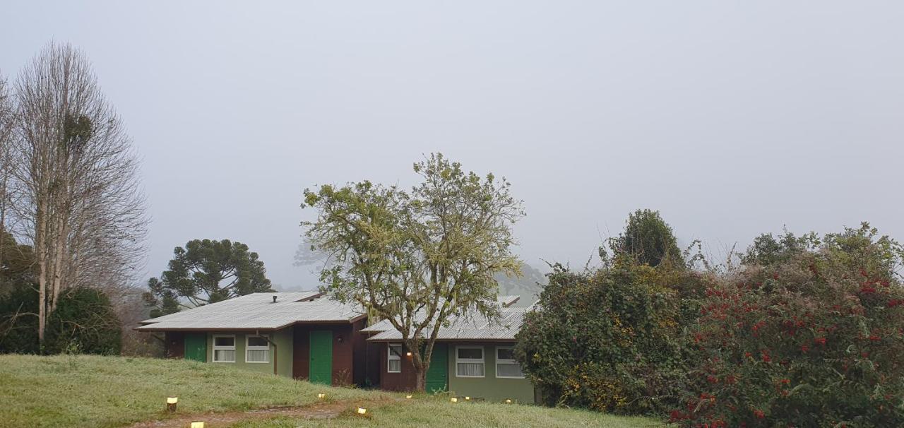 Bracatinga