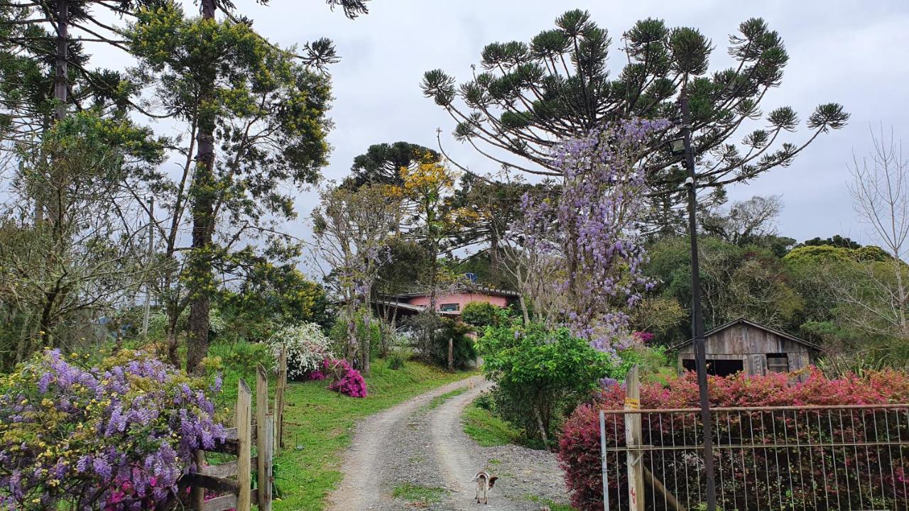 Bracatinga Bom Retiro (Santa Catarina)